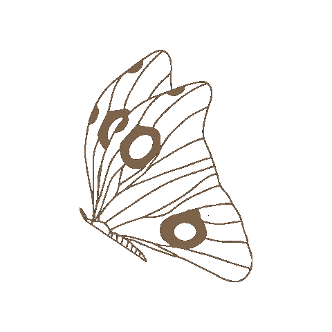 Msc Sticker