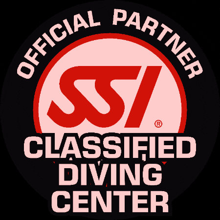 Dive School de Grevelingen GIF