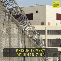 Behind Bars Magic GIF by 60 Second Docs
