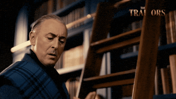 GIF by bTV