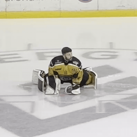Ice Hockey Panthers GIF