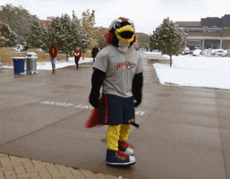 Lets Go College GIF by Rowdy the Roadrunner
