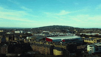 Jamtarts Tynecastle GIF by Heart of Midlothian