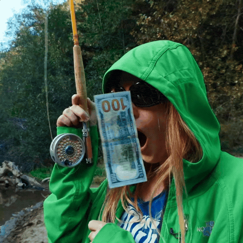 Money Wow GIF