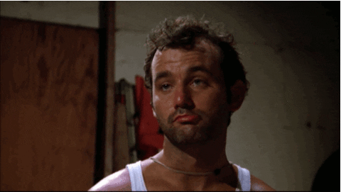 Image result for bill murray caddyshack gif