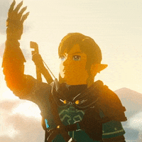 Nintendo Link GIF by GIPHY Gaming