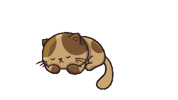 Cat Sticker
