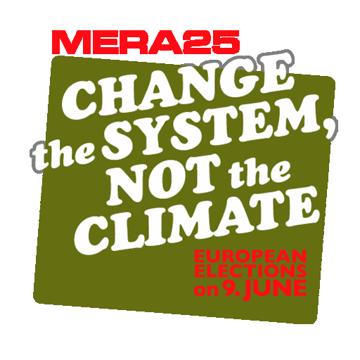 Europe Democracy Sticker by MERA25