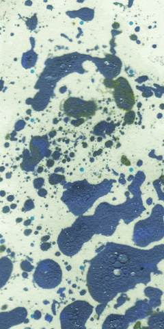 17Mb GIFs - Get the best GIF on GIPHY