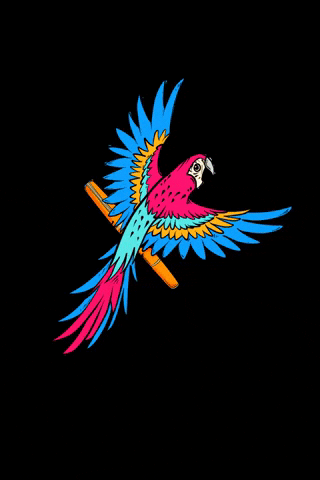 Paradise Parrot GIF by Esterbrook