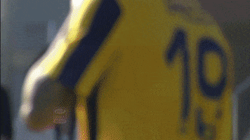 tancredinho  GIF