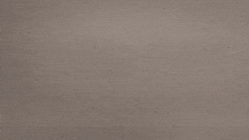 Mpdb GIF by CONNY