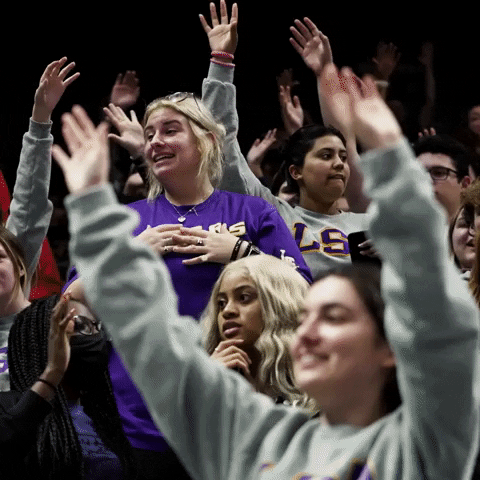 Excited Womens Basketball GIF by LSU Tigers