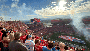 Fly Over San Francisco 49Ers GIF by Yevbel