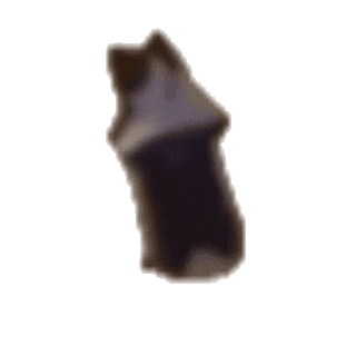 Burthdaykake Sticker