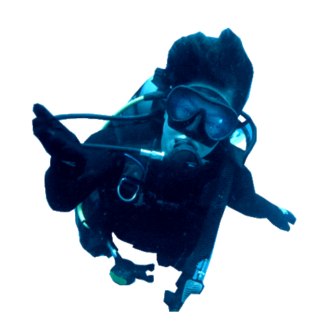 Hope Coral Sticker by Sheba Official