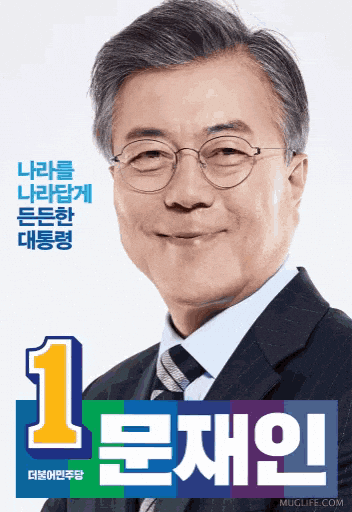 더불어민주당 GIF
