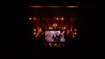 Live Concert GIF by Amsterdenim