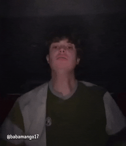 Sea Lion Trending GIF