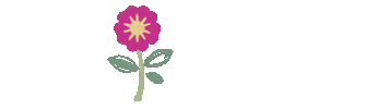 Flowers Flores Sticker by Floreria Kmonadas