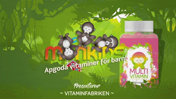 Monkey Working GIF by monkids