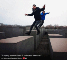 giorgiafurlan  GIF
