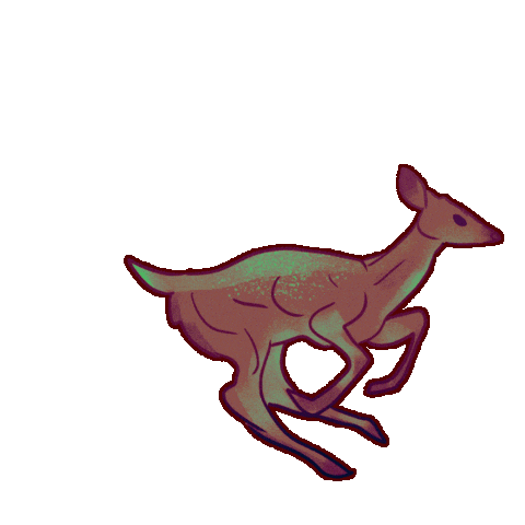 Deer Running Sticker by Contextual.Matters
