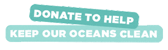 Summer Oceans Sticker by Miami Waterkeeper