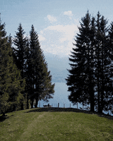 Drone Lake GIF by Interlaken