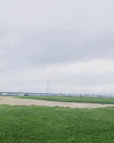 dockwa GIF