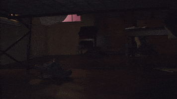 ellismonk5  GIF