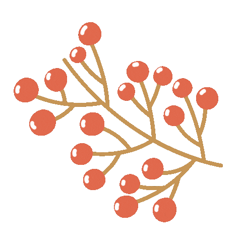 Christmas Flower Sticker