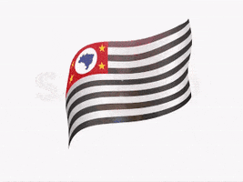 Governo do Estado de São Paulo GIF