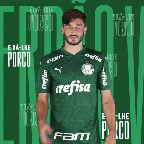 Puma Escudo GIF by SE Palmeiras