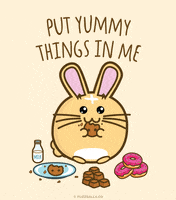 Food Bunny GIF by Fuzzballs