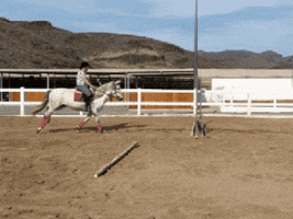 Horseriding Alamo GIF by Gran Canaria Regional - Love Gran Canaria