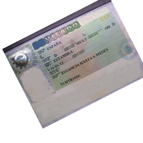 Visa Schengen Sticker by Venia Travel