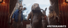 GIF by Peter Rabbit Movie