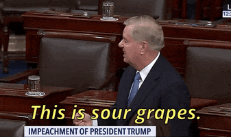 Lindsey Graham Impeachment GIF by GIPHY News