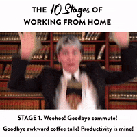 Work From Home Lawyer GIF