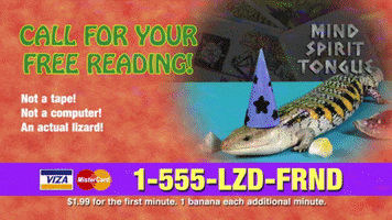 Lizard Wizard GIF