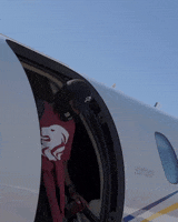 200.gif?cid=fc005b085df5c925cfe6f7555a1cea781a876a1feb9304a4&rid=200.gif&ct=g