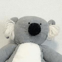 Koala GIF