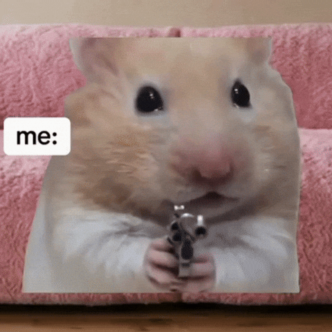 Mad Gun GIF by Mstokie50