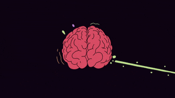 Brain GIF