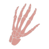 Pink Halloween Sticker by MissBeaut