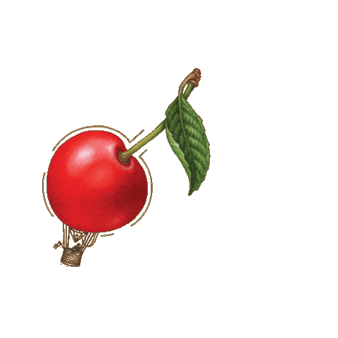Wine Cherry Sticker by Oliver Winery