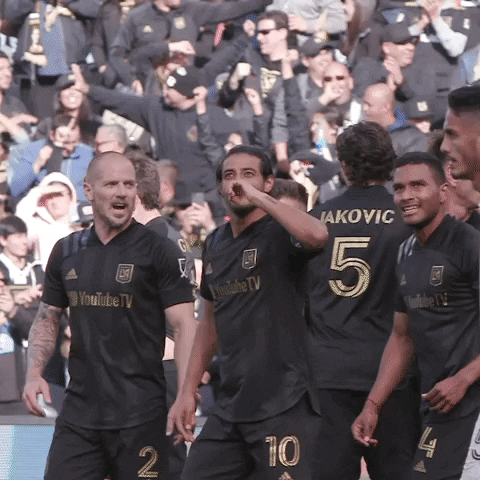 Los Angeles Soccer GIF by LAFC