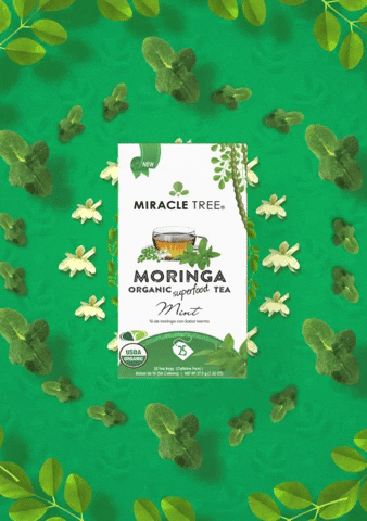 Miracle Tree GIF