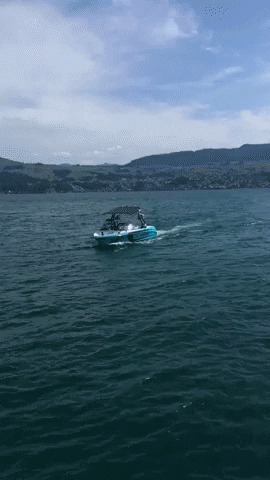 ceccotorenas wakeboat onthelake ceccotorenas ceccoboat GIF